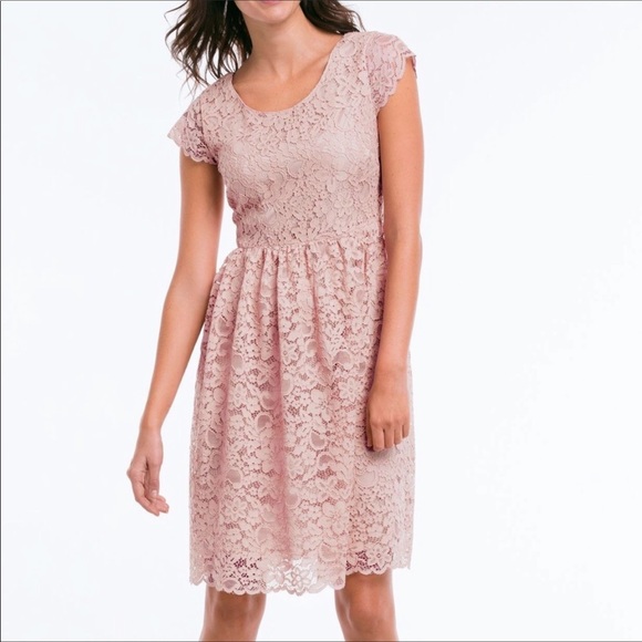 Blush Lace Dress by Ellos - Picture 5 of 5